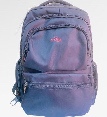 Smart 15.6" Laptop Backpack SM-9143
