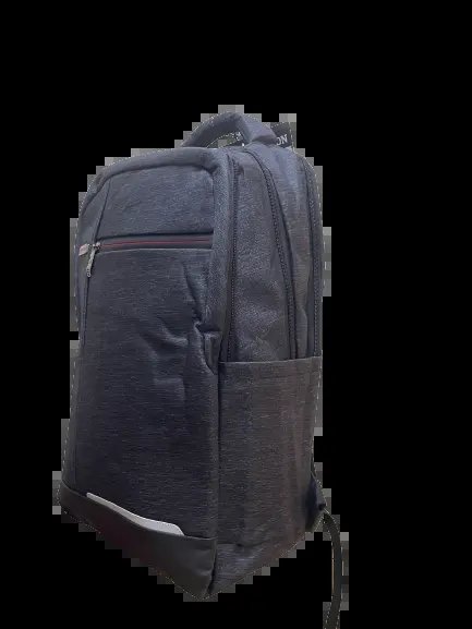 Pralion 15.6 Spacious Laptop Backpack Laptop Bag