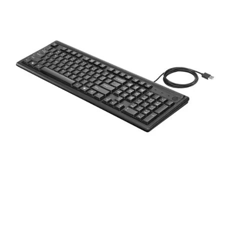 HP K1500 Advanced 2.4 GHz Wired Keyboard