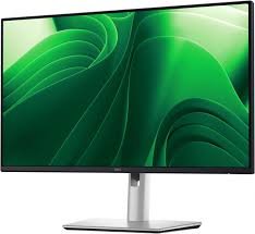 Dell S2421HN 23.8" FHD 1080p 75Hz IPS Ultra-Thin Bezel Monitor Adaptive AMD FreeSync Monitor